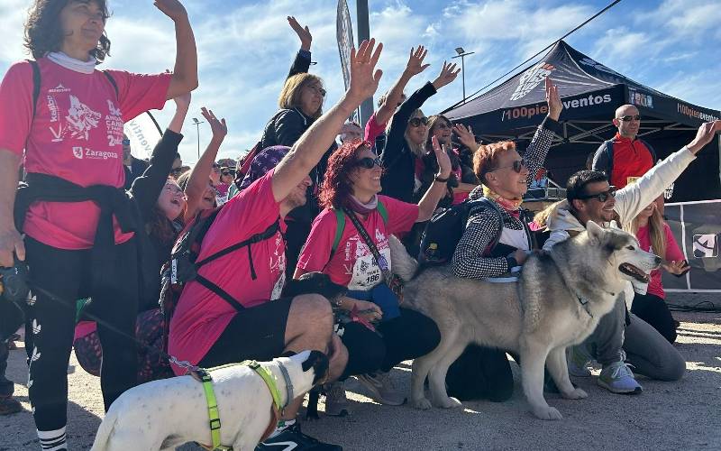 900 honden nemen deel aan hondenwandeling in Zaragoza