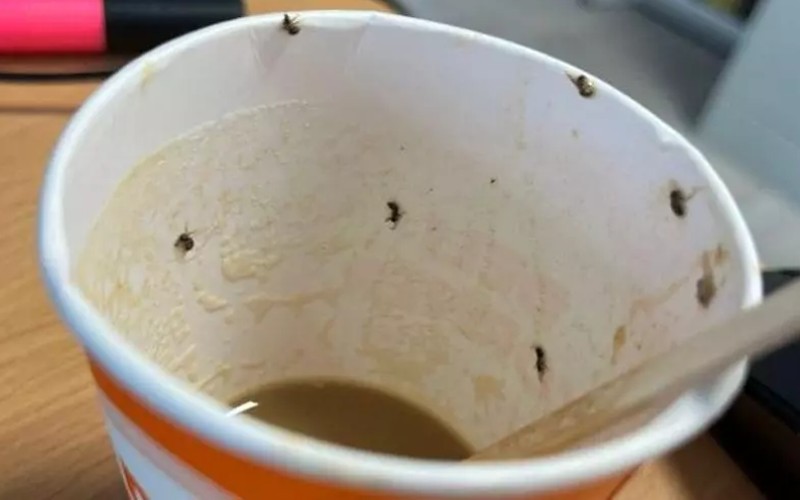 Vrouw opgenomen op intensive care na het drinken van koffie met insecten uit automaat op vliegveld Mallorca