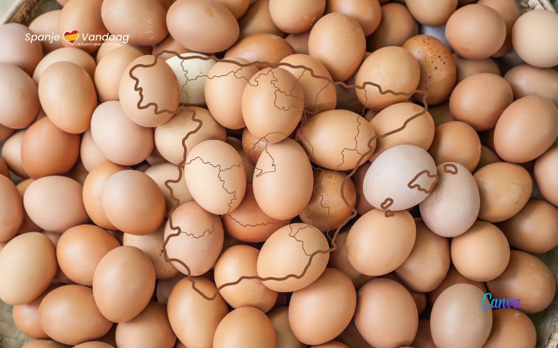 Spanjaarden eten meer eieren met gemiddeld 137 'huevos' per persoon per jaar