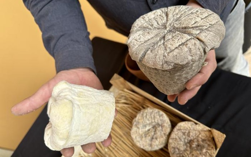 Deze prehistorische kaas herrijst na 4000 jaar terug in Huesca