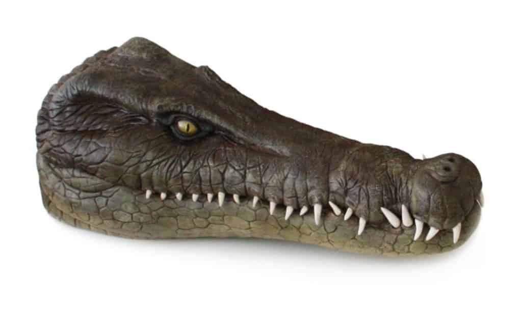 125 miljoen jaar oude krokodil gevonden in Teruel