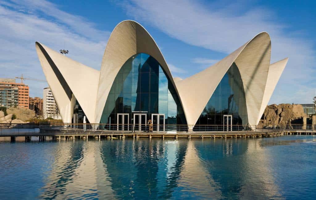 Record bezoeken Oceanogràfic aquarium in Valencia