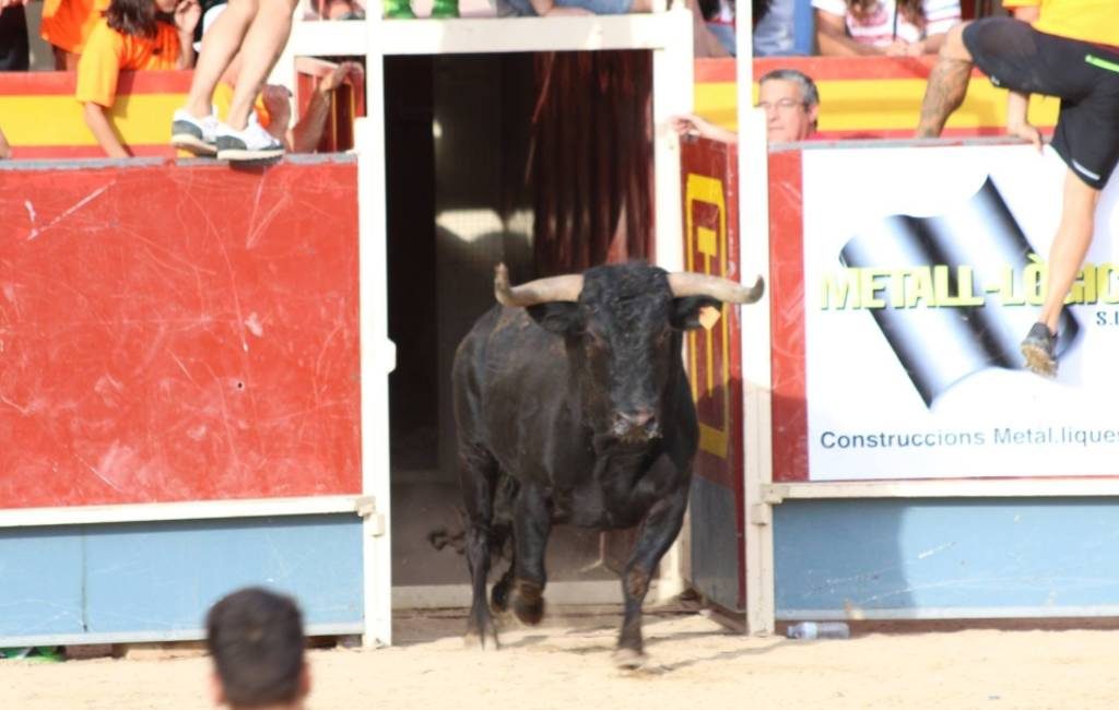 19 gewonden bij Catalaans stierenrennen in Gerona