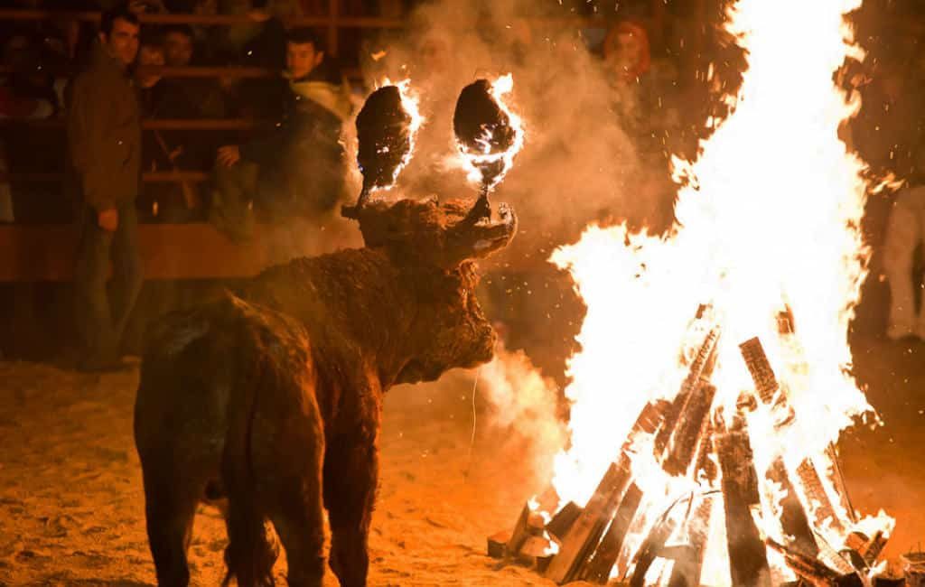 Spaanse Partij voor de Dieren eist einde aan brandende stierenfeest in Soria