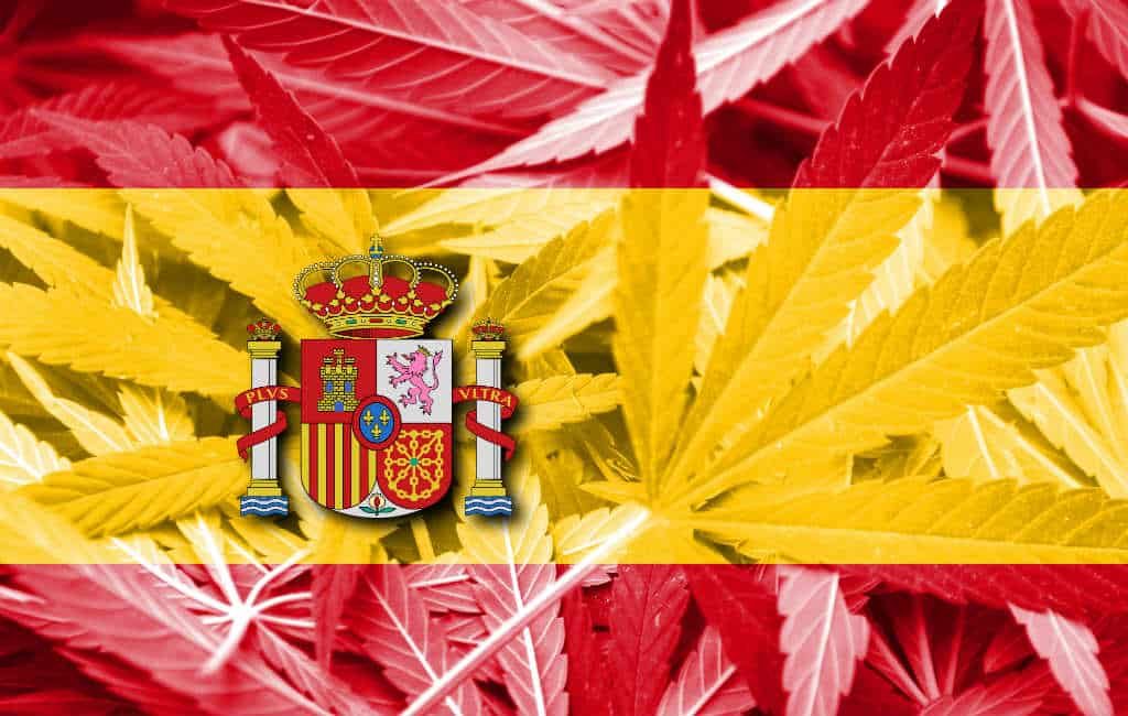 Spanjaarden verdeeld over legalisatie van marihuana