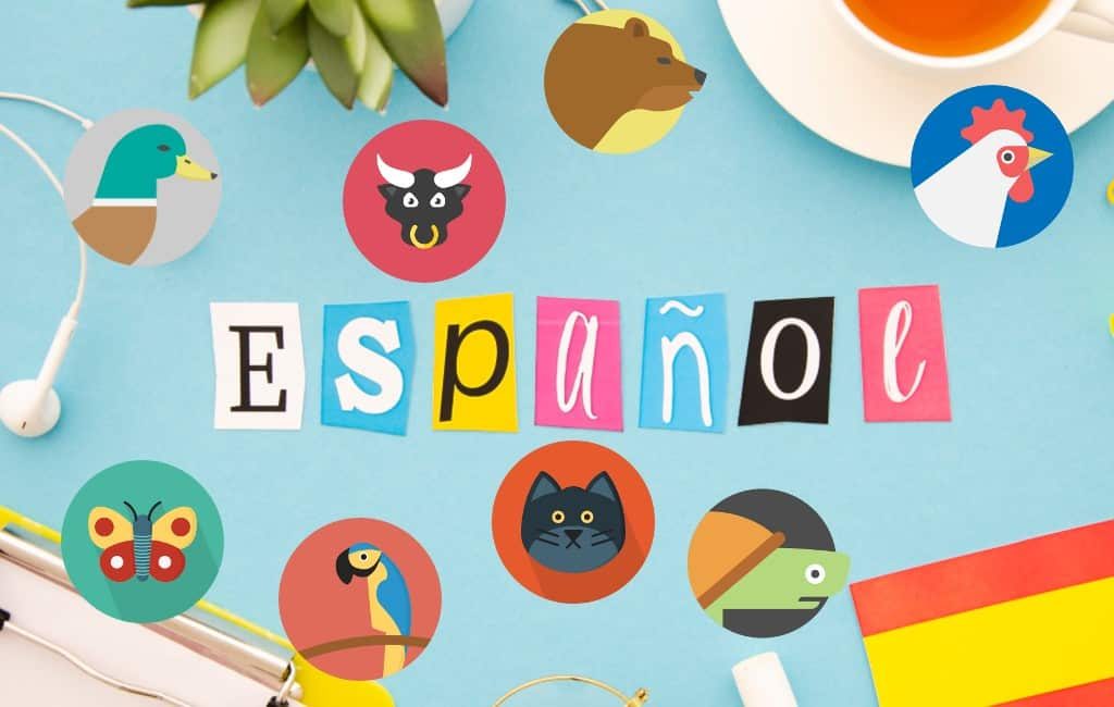 Spaanse uitdrukkingen met dieren