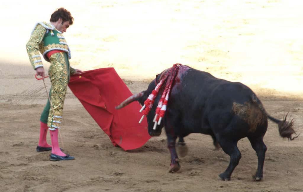 Anti stierenvechten wet Balearen ongeldig verklaard dankzij een PP-wet.