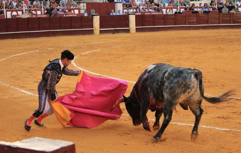 Steeds minder Spanjaarden gaan naar het stierenvechten