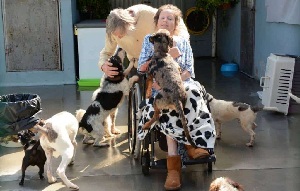 Het verhaal van een Nederlands stel, een ongeluk en 11 honden in Galicië