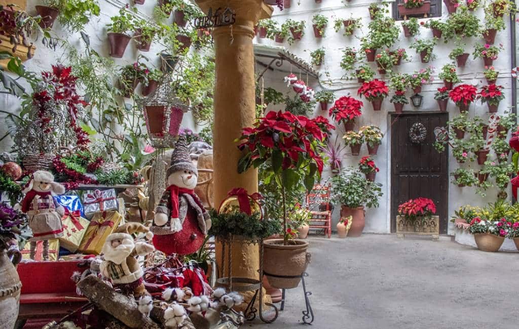 Córdoba viert kerstmis met bloemen