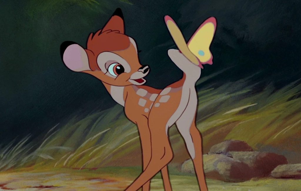 Bambi is 80 jaar geworden maar kwam pas op 8-jarige leeftijd naar Spanje