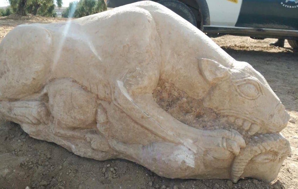 Boer vindt 2500 jaar oude Iberische leeuwin in olijfgaard in Córdoba