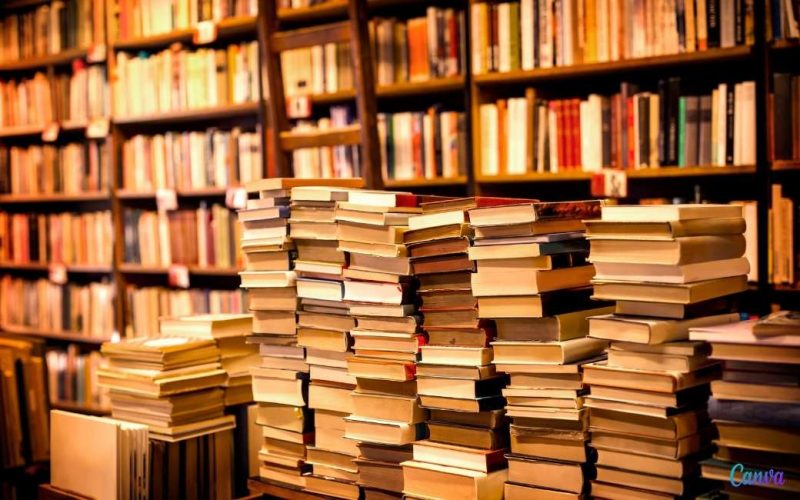 Leer het Spaanse dorp kennen waar meer boekwinkels zijn dan bars
