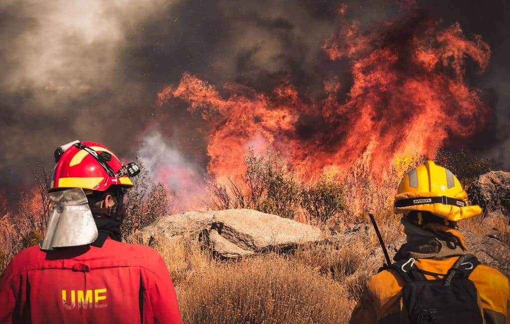 Aantal natuur- en bosbranden dit jaar met 43% vermindert