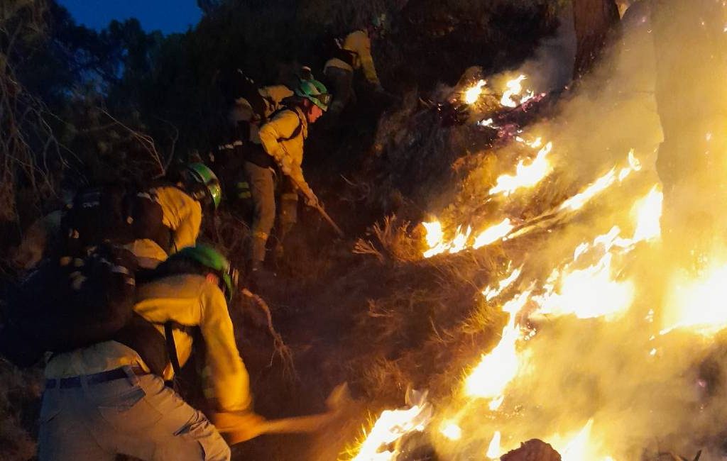 Grote natuur- en bosbrand legt alweer 3.000 hectare natuur in de as in Granada