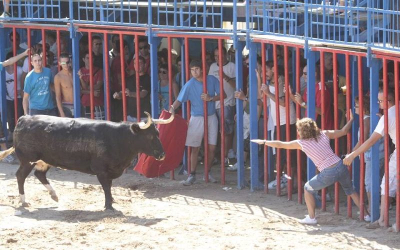 Zeven doden bij festiviteiten met stieren in de Valencia regio