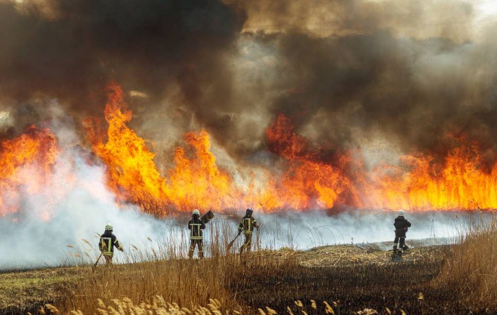 Laatste natuur- en bosbrand in Ávila de vierde grootste ooit in Spanje