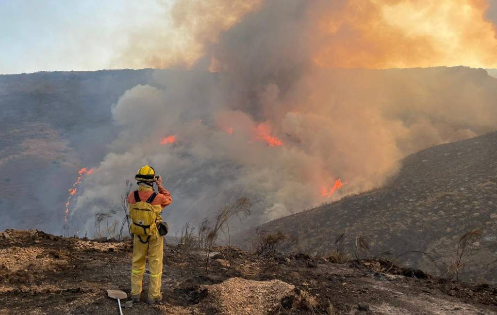Bosbrand Zaragoza veroorzaakt door Nederlands herbebossingsbedrijf