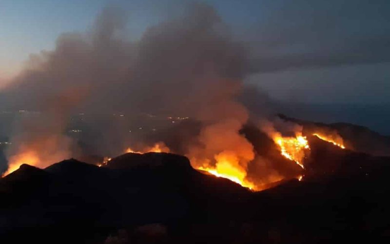 Natuur- en bosbrand Almería onder controle