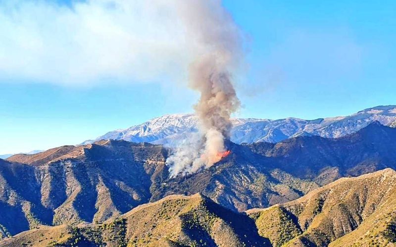 Woningen ontruimt vanwege natuur- en bosbrand nabij Competa in de provincie Málaga