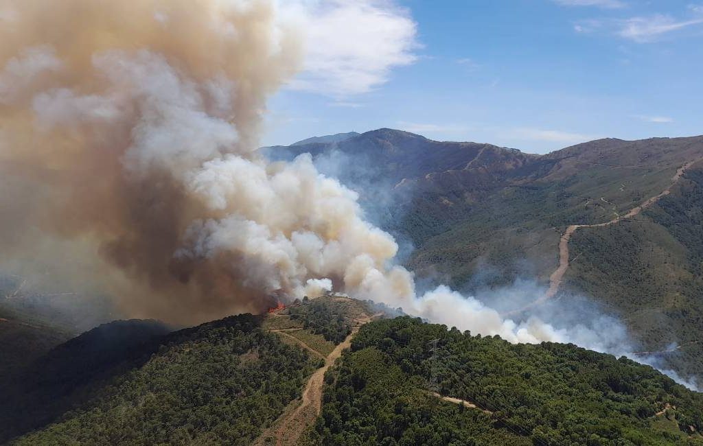 Grote natuur- en bosbrand aan de Costa del Sol met 60 evacuees