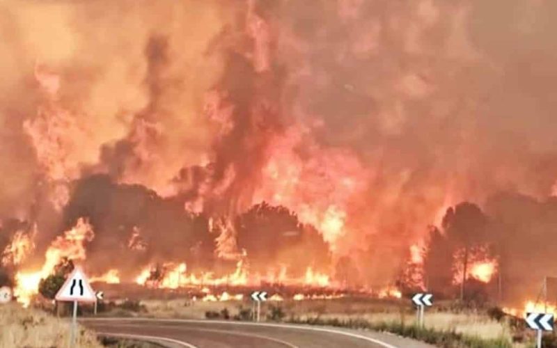 Enorme bosbrand verwoest 4.400 hectare natuur in Huelva