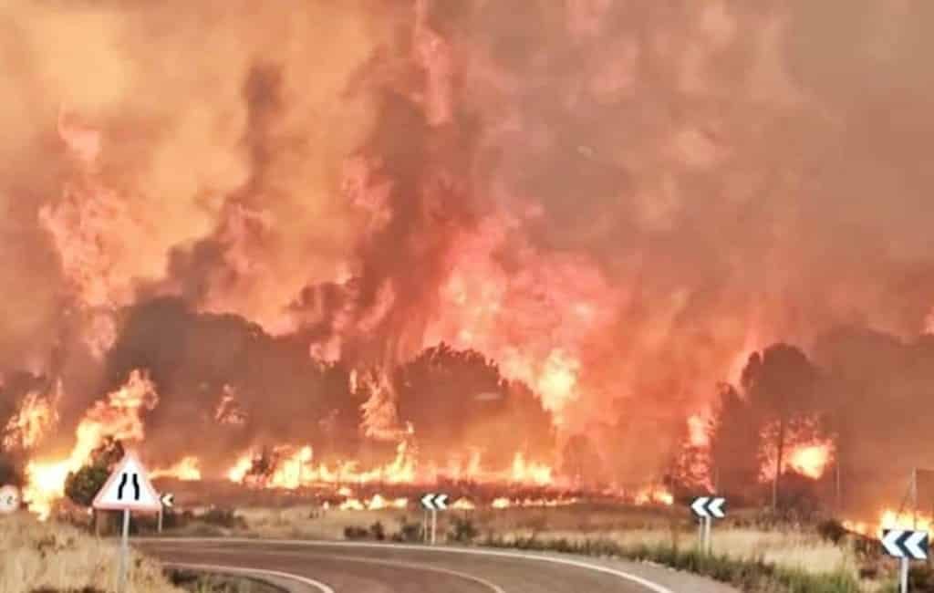 Enorme bosbrand verwoest 4.400 hectare natuur in Huelva