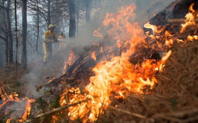 Natuur- en bosbranden hebben dit jaar al 19 duizend hectare natuur verwoest in Spanje