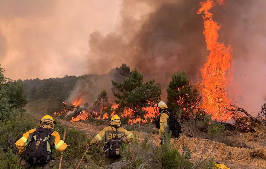 Grootste bosbrand van Spanje: 11.000 hectare natuur verwoest in Zamora