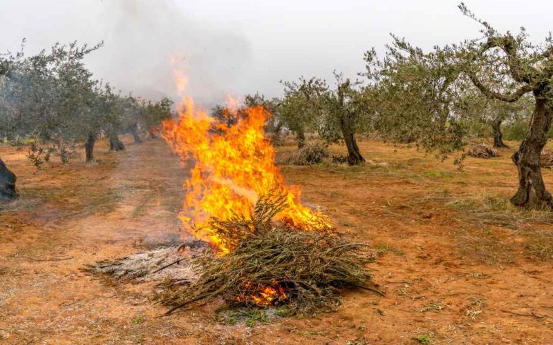 Hoe is het verbranden van snoei- en landbouwresten geregeld in Spanje