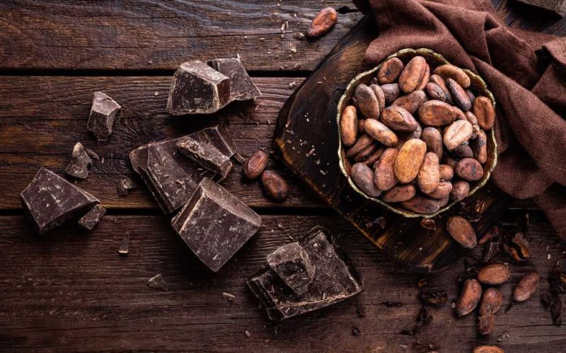 7 juli is dankzij de Spaanse veroveraar Hernán Cortés Wereld Cacao Dag