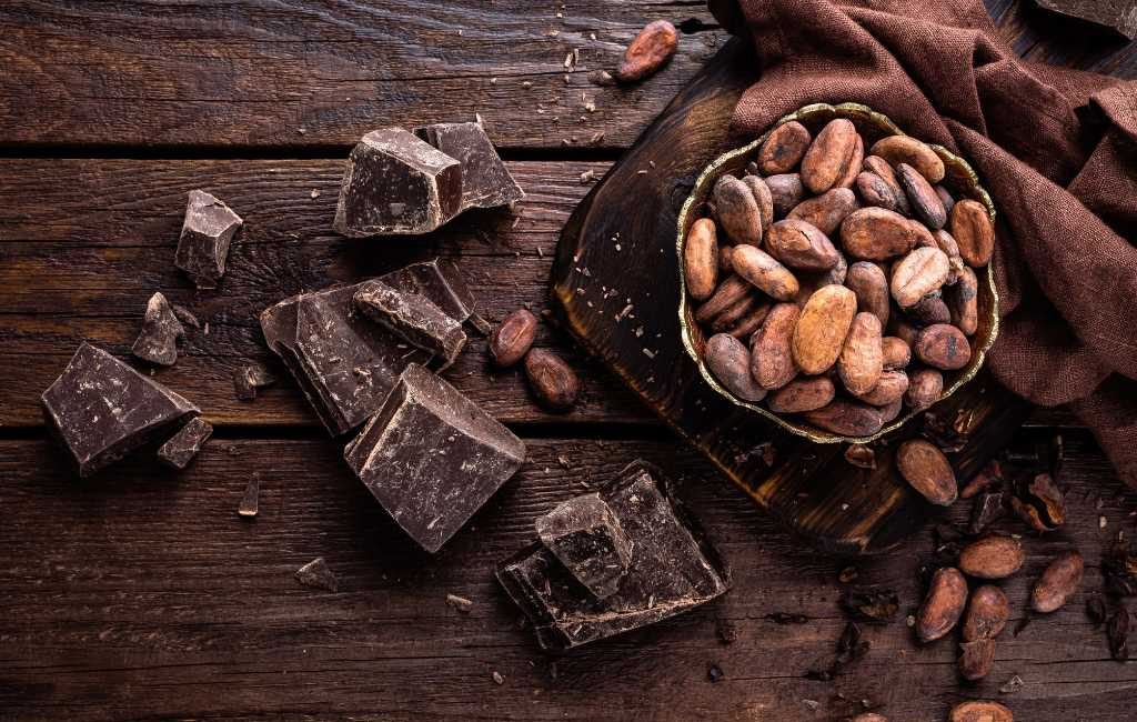 7 juli is dankzij de Spaanse veroveraar Hernán Cortés Wereld Cacao Dag