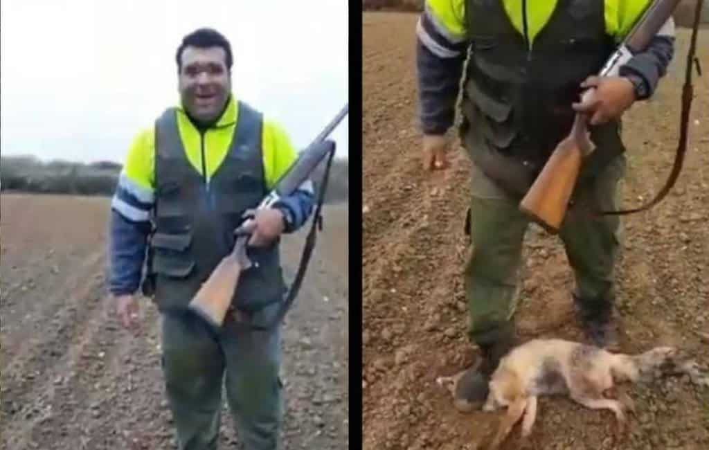 Jacht geopend op jager die vos voor dood mishandeld in Spanje