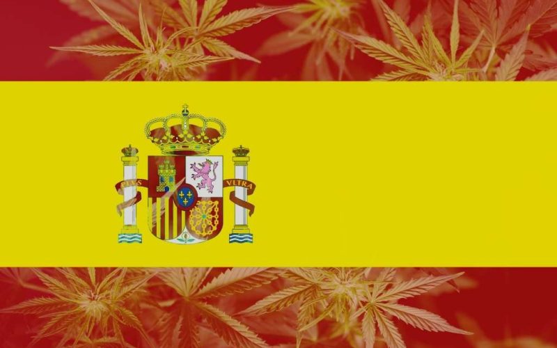 Malta is eerste EU-land dat cannabis legaliseert maar hoe is dat in Spanje?