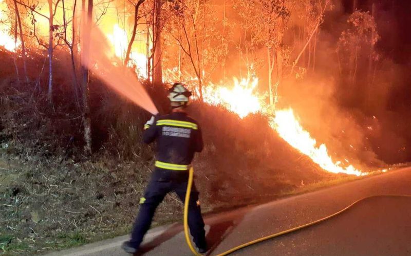 Uitzonderlijk warme januaridagen leiden al tot bosbranden in het Noorden van Spanje