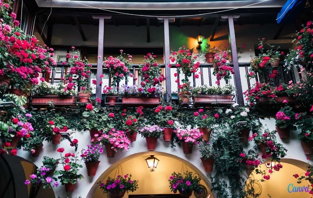 Het bloemenfeest van de Patios de Córdoba wordt als vanouds gevierd