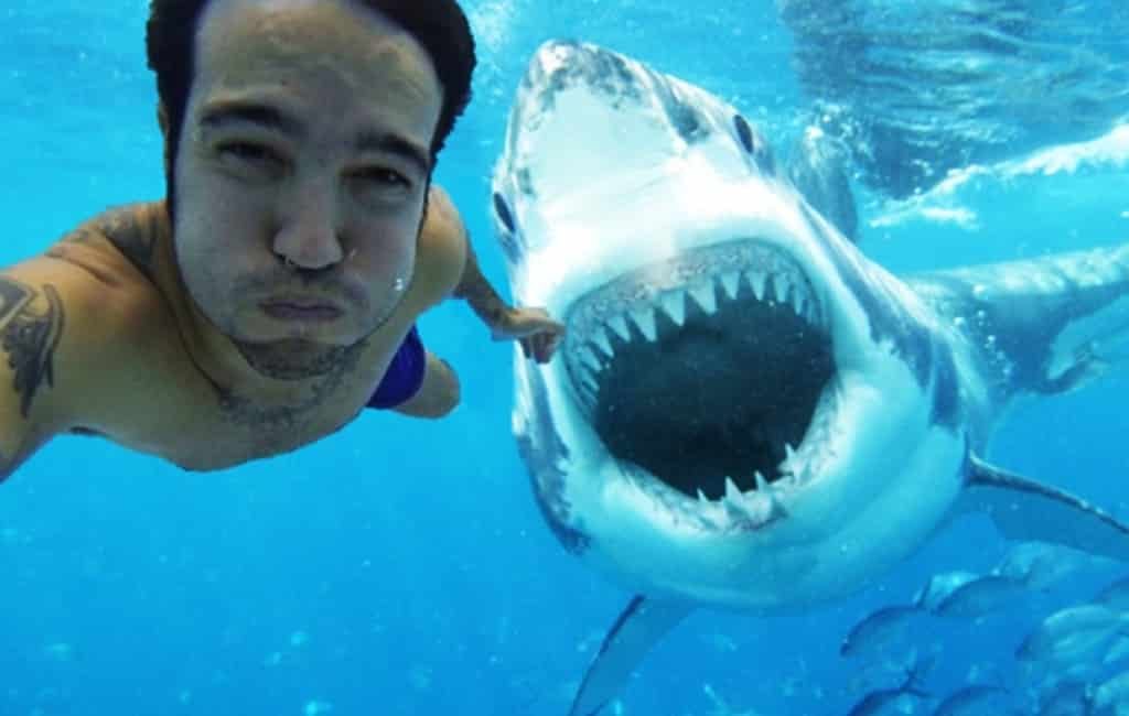 Selfies maken is dodelijker dan haaien