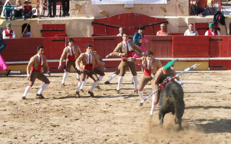 Spanje’s buurland Portugal verhoogt BTW op stierengevechten