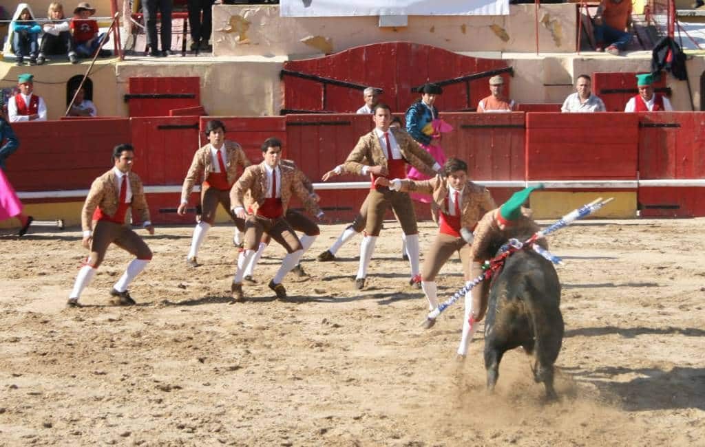 Spanje’s buurland Portugal verhoogt BTW op stierengevechten
