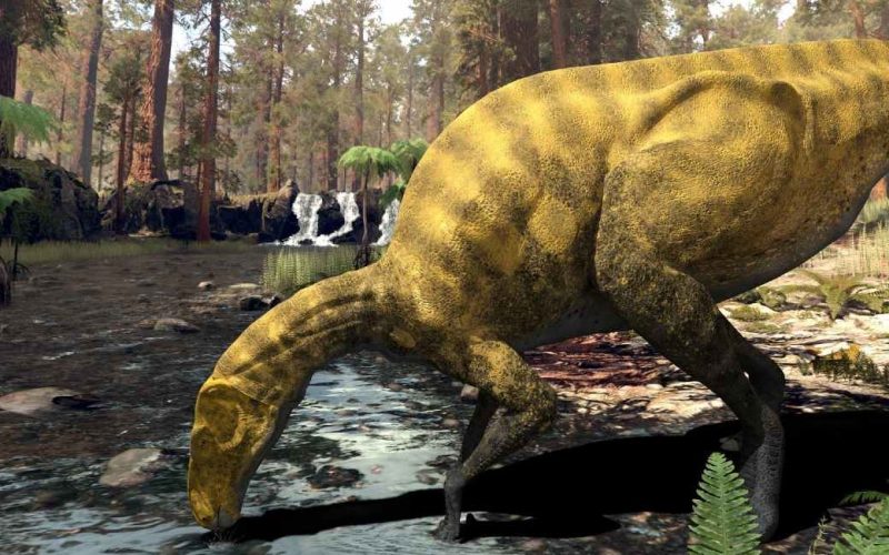 Overblijfselen van een onbekende dinosaurussoort ontdekt in Castellón
