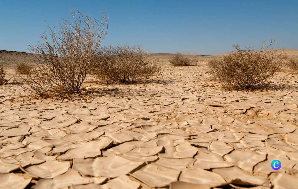 De droogte in Spanje en een cruciale lente: als er geen regen valt, zullen de gevolgen rampzalig zijn
