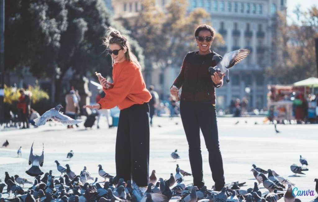 Barcelona heeft een overpopulatie van meer dan 103.000 duiven in de stad