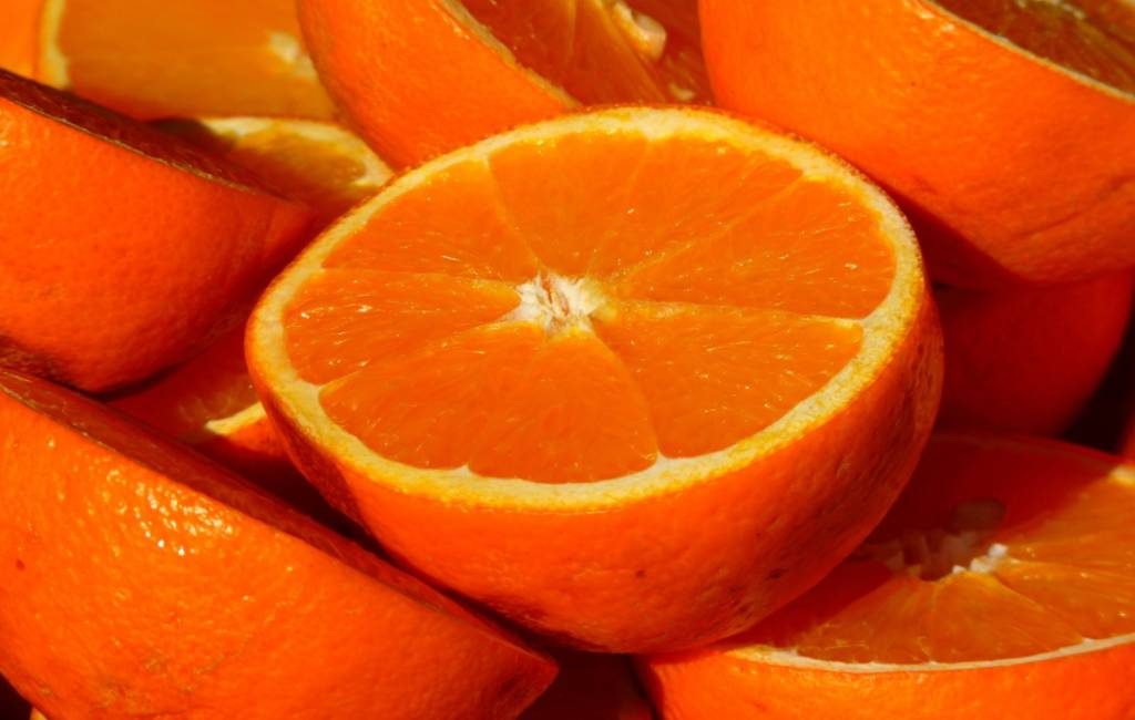 100 euro voor 7.000 kilo sinaasappels in Valencia