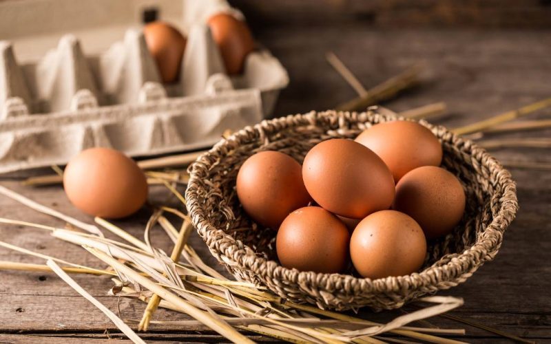 De tweede en derde grootste eierproducenten van Spanje fuseren