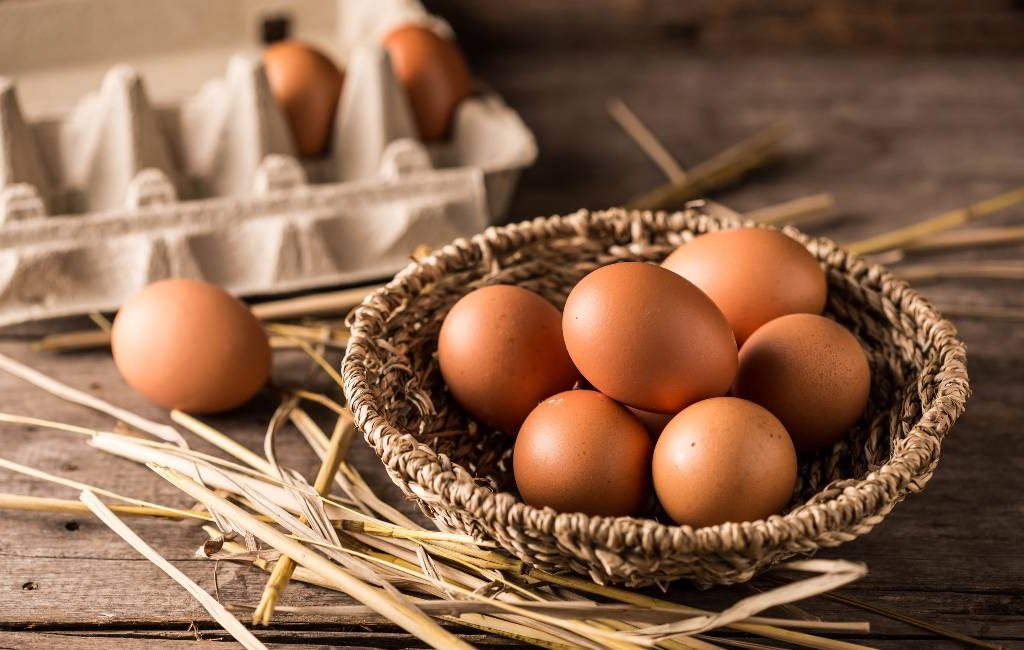De tweede en derde grootste eierproducenten van Spanje fuseren