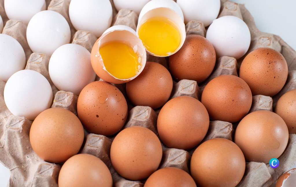 De prijzen voor eieren in Spanje bijna 30 procent gestegen