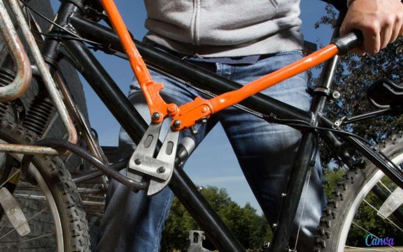 Fiets van vrouw wordt in Zaragoza gestolen maar ze krijgt een Nederlandse fiets terug