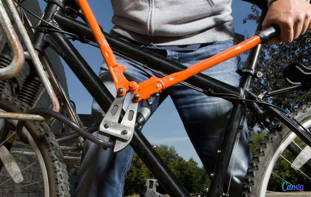 Fiets van vrouw wordt in Zaragoza gestolen maar ze krijgt een Nederlandse fiets terug