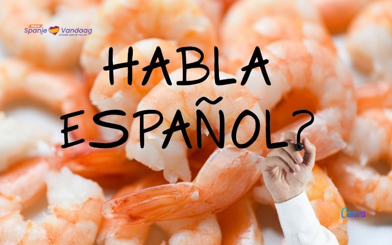Drie uitdrukkingen in het Spaans met het woord ‘gamba’ of garnaal
