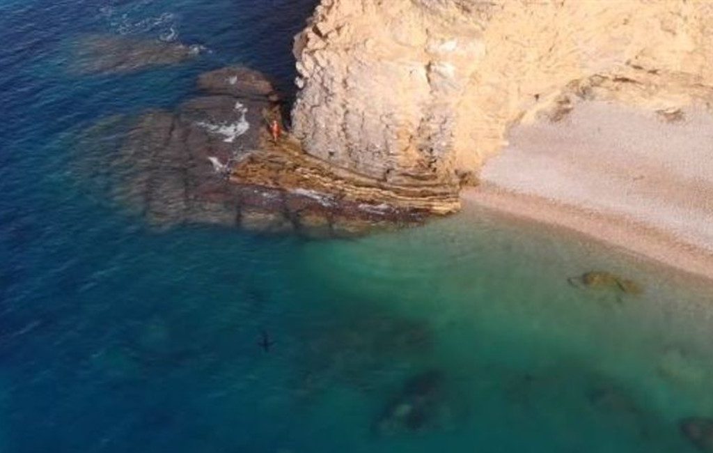 2,5 meter lange Benidorm-haai laat zich zien voor de kust van La Vila Joiosa